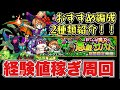 【パンプキーナ】けいウサおすすめ周回編成。経験値稼ぎパーティ【モンスト】