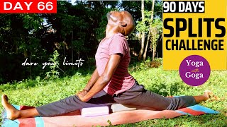 Do Hip Flexors Stretches Help With The Splits? Check This Nature-Inspired Split Challenge - Day 66