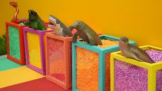 Learn Animals Names  - Iguana, Dragon, Sea Lion, Shark, Dugong,  | Animal Learning Video For Kids