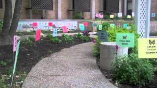Families gather to remember homicide victims