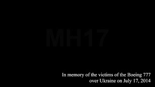 In Memory Of The Victims Of The Boeing 777 Over Ukraine On July 17, 2014.