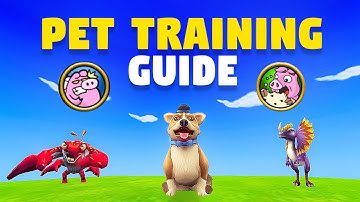Wizard101: ULTIMATE Pet Training Guide in 2025! (PC) 