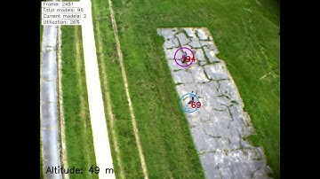 Visual Multiple Target Tracking From a Descending Aerial Vehicle