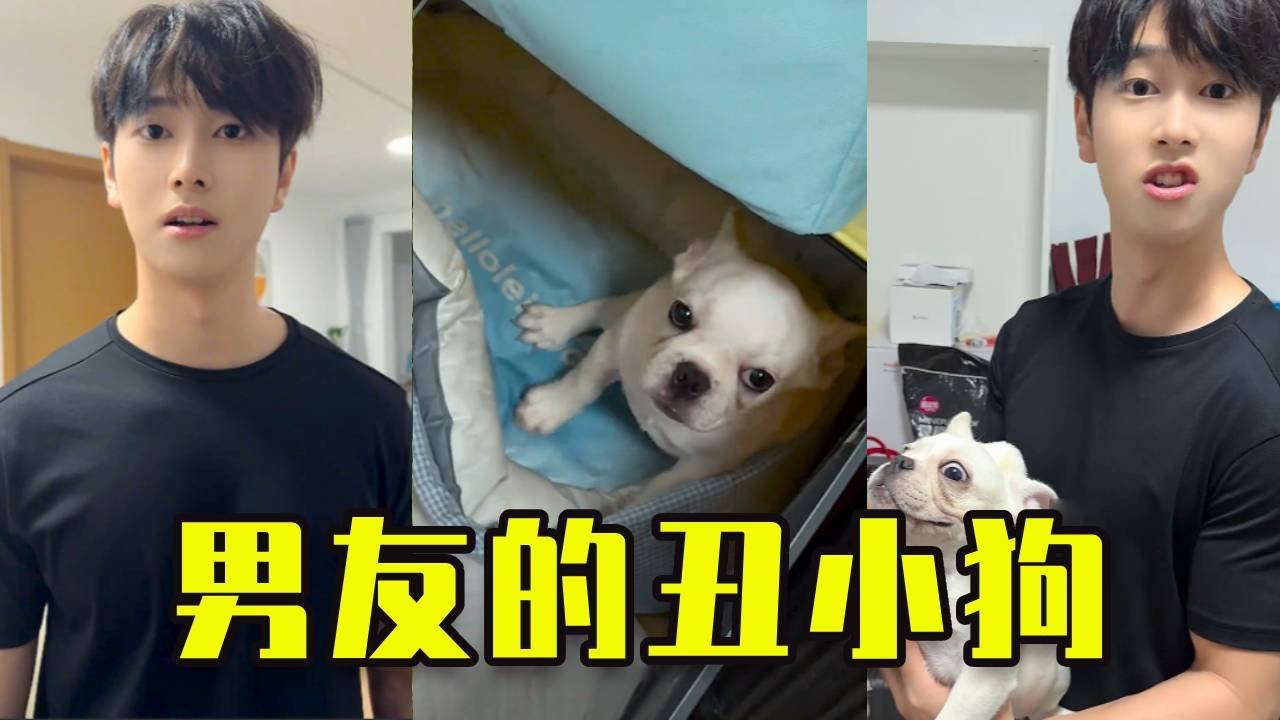 以為男友在家藏人了，沒想到竟是這隻醜小狗#搞笑 #内涵段子 #剧情 #情感 #短剧 #周野 #vlog