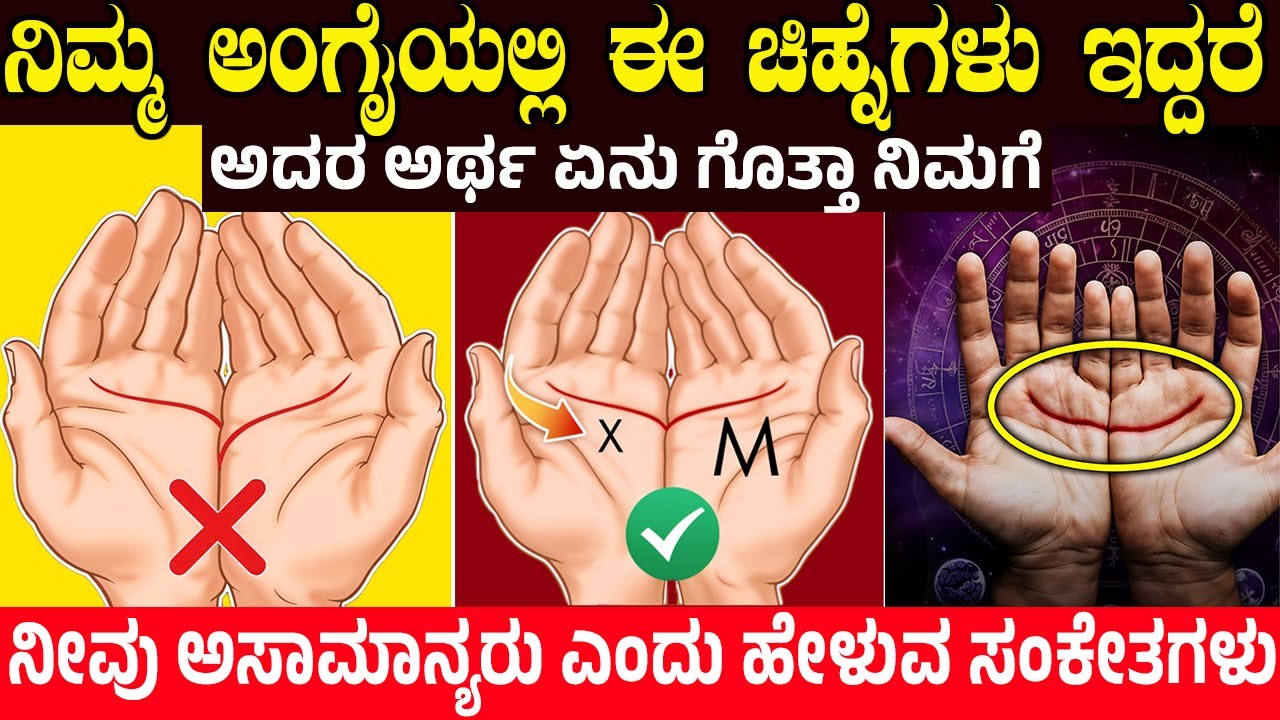 ನಿಮ್ಮ ಅಂಗೈಯಲ್ಲಿ ಈ ಚಿಹ್ನೆಗಳು ಇದ್ದರೆ ಅದರ ಅರ್ಥ ಏನು? If You Have These SIGNS Then You Are A GENIUS