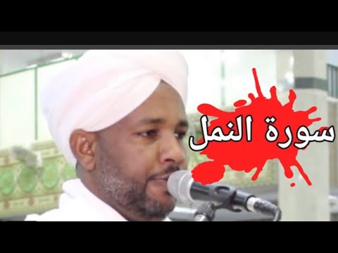 تلاوة مؤثرة سورة النمل بصوت الشيخ الزين محمد احمد