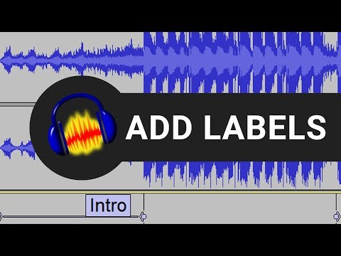 How To Add Labels In Audacity
