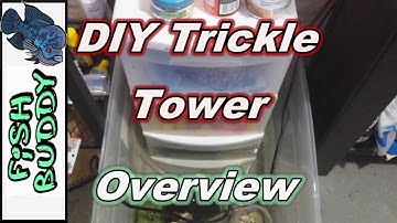 DIY Trickle Tower Filter and Overflow Overview