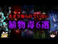 【ゆっくり解説】マイナーで身近な植物毒6選