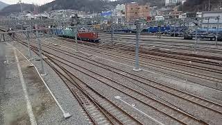디젤기관차 7372호 견인 순천행 무궁화호 #1441 종착열차