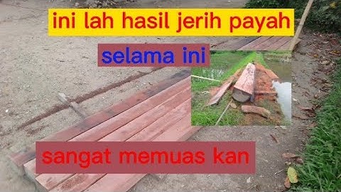 ini lah hasil nya,,kayu jaman purba.