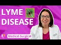 Lyme Disease: Integumentary System - Medical Surgical (Med-Surg) | @LevelUpRN