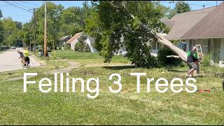 Tree Felling NE Ohio - Part 1 of 7