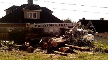 Tree Service Bellingham WA and all of Whatcom County