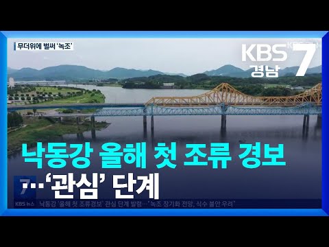 낙동강 올해 첫 <strong>조류</strong> 경보…‘관심’ 단계 / KBS  2023.06.08.