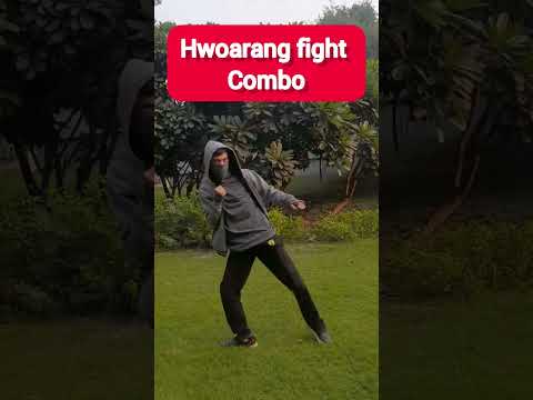 HWOARANG COMBO IN REAL LIFE 