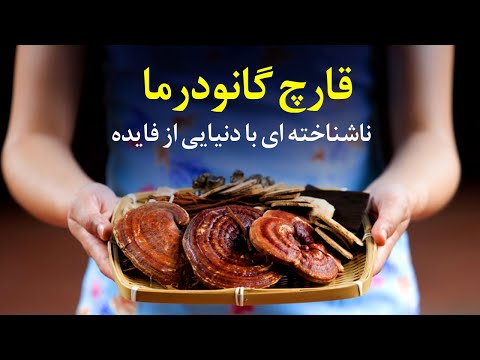 درمان بیماری ها با قارچ گانودرما و نحوه مصرف آن