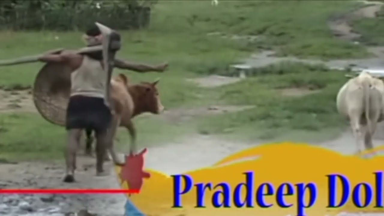 NEW MISING SONG| D  |OLUM PAO|AMIT PAO|JIADHAL KO.