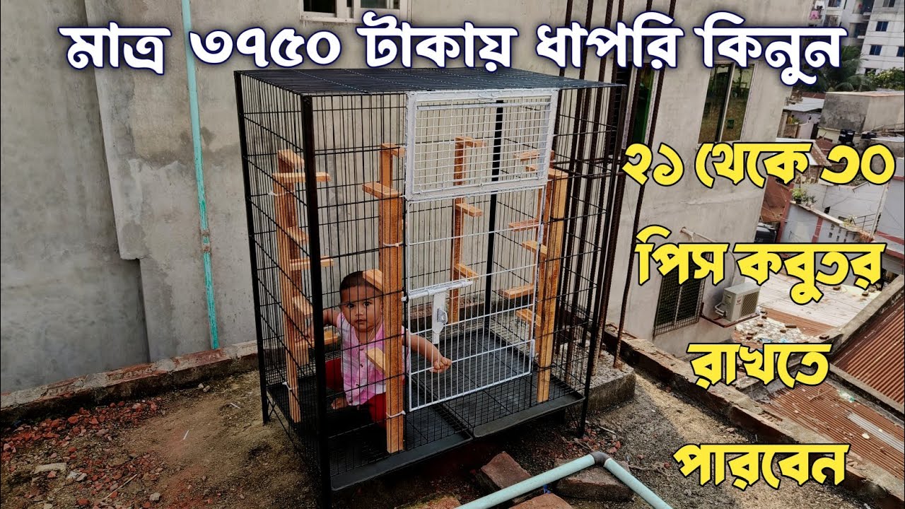 ৩০ পিস কবুতরের ধাপরি কিনুন ৩৭৫০ টাকায়। Kobutor er Dhapri