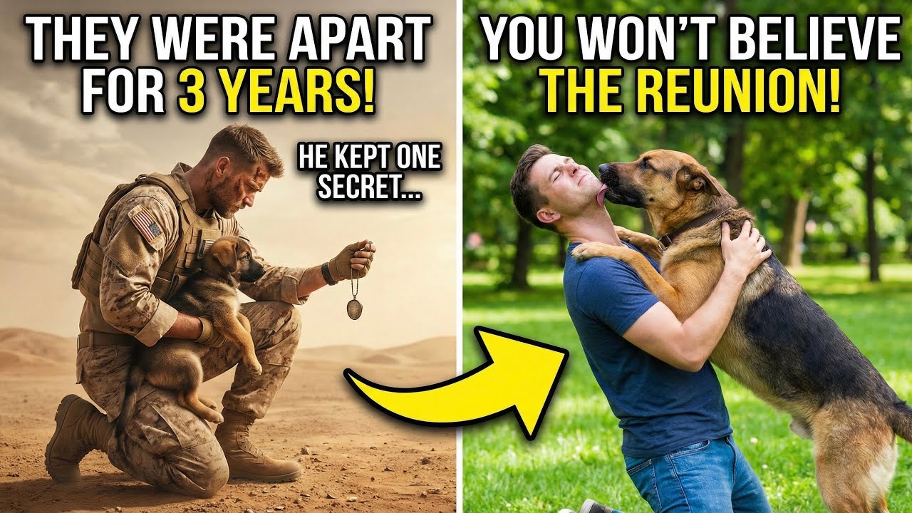 When Animals Remember the Humans Who Loved Them