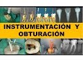 "INSTRUMENTACION Y OBTURACIÓN" por el Dr. Nestor Jaime