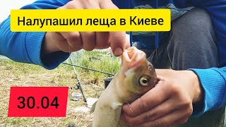 Поймал много леща в Киеве, клёв как с пулемета, лещ на фидер в Киеве