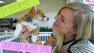 Visiting the PUPPY BOUTIQUE - DCP Summer 2016 JessRuby