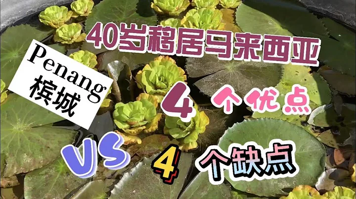 21、40歲移居馬來西亞，我感受到這4個優點和4個缺點。❤️馬來西亞生活紀實❤️第21期 - 天天要聞