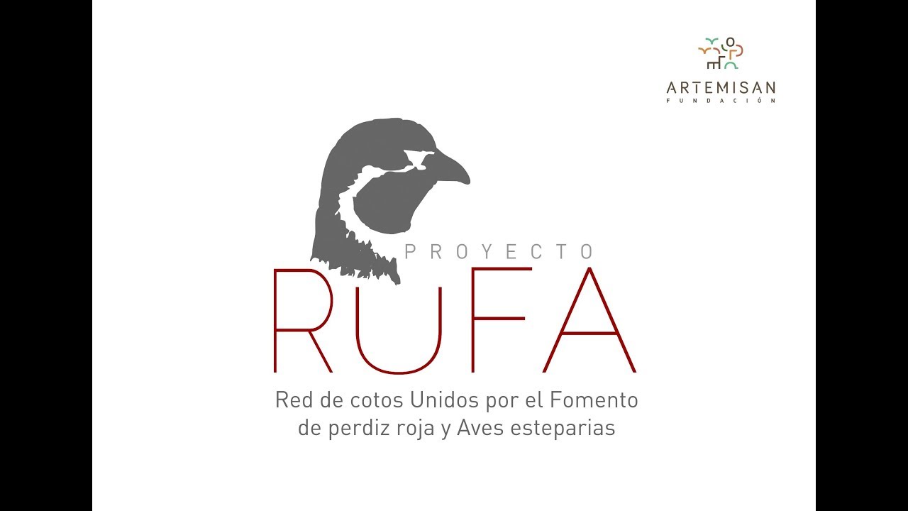 PROYECTO RUFA - FUNDACION ARTEMISAN - PERDIZ ROJA