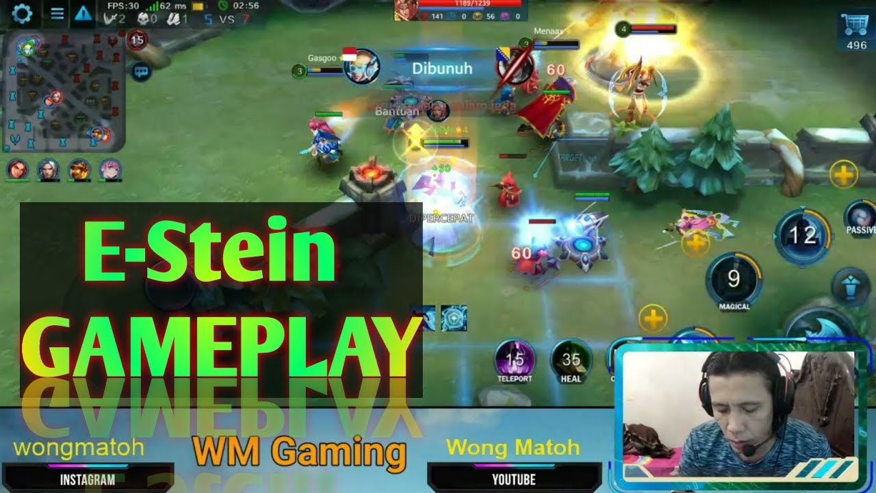 Heroes Evolved : E Stein Best Gameplay