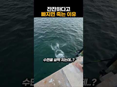 바다를 얕보지마 thumbnail