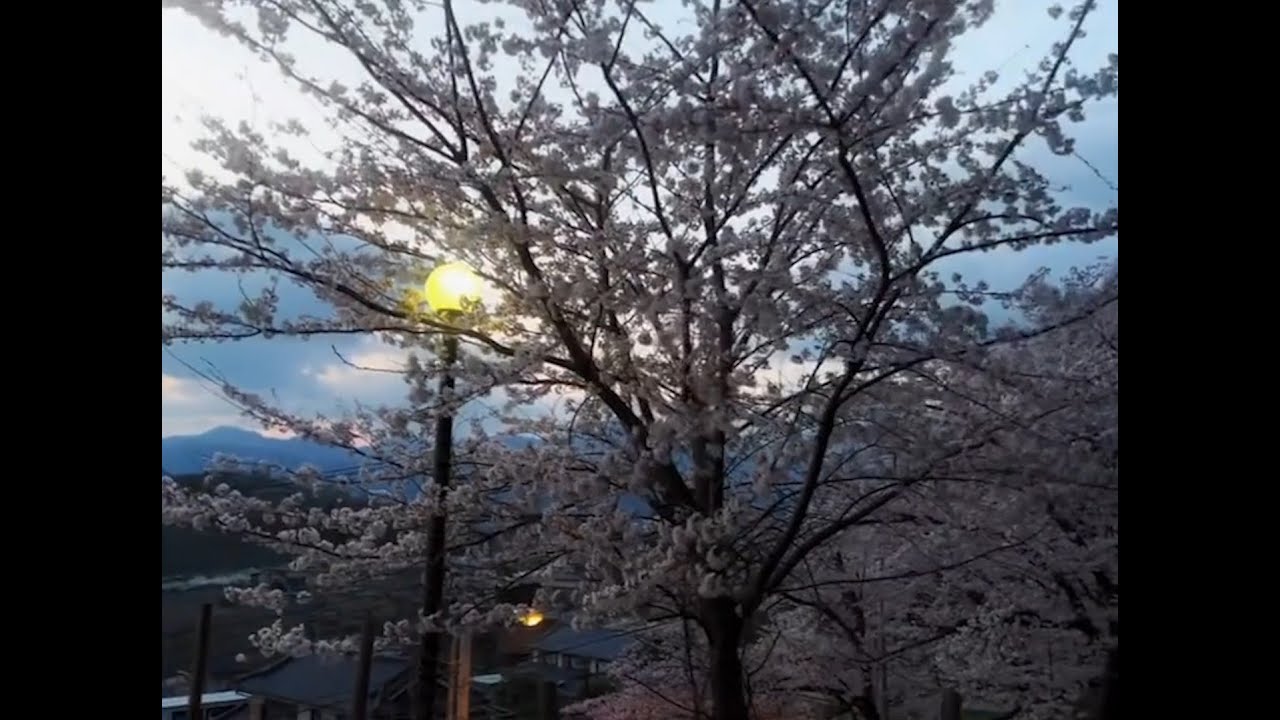 [FREE] sewerperson x skele x emo type beat "falstart" [secre + jolst]