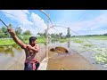 Fishing video Traditional Boy Are Fishing With Big Net In Village Rainy Season Best Net Fishing Trap