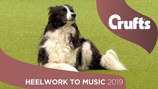 Freestyle International Heelwork to Music  Part 2 | Crufts 2019