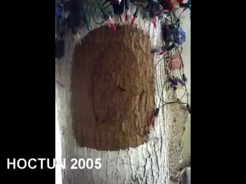 093.- Apariciones de la virgen de Guadalupe y la Santa 093.- Apariciones de la virgen de Guadalupe y la Santa