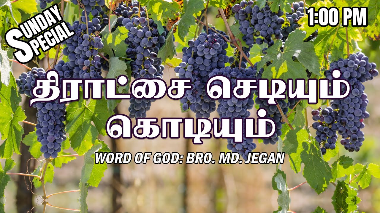 SUNDAY SPECIAL || திராட்சை செடியும் கொடியும் || BRO.MD JEGAN || 17.07.2022