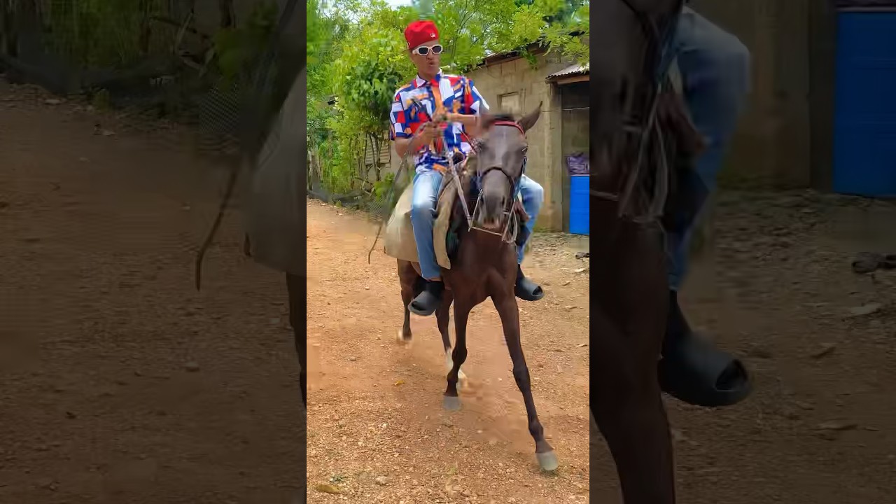 Montando caballo 🐎 