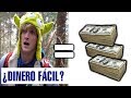 ¿Ser Youtuber es Dinero Fácil?