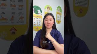 The Ultimate Guide to Safely Strike a Dog