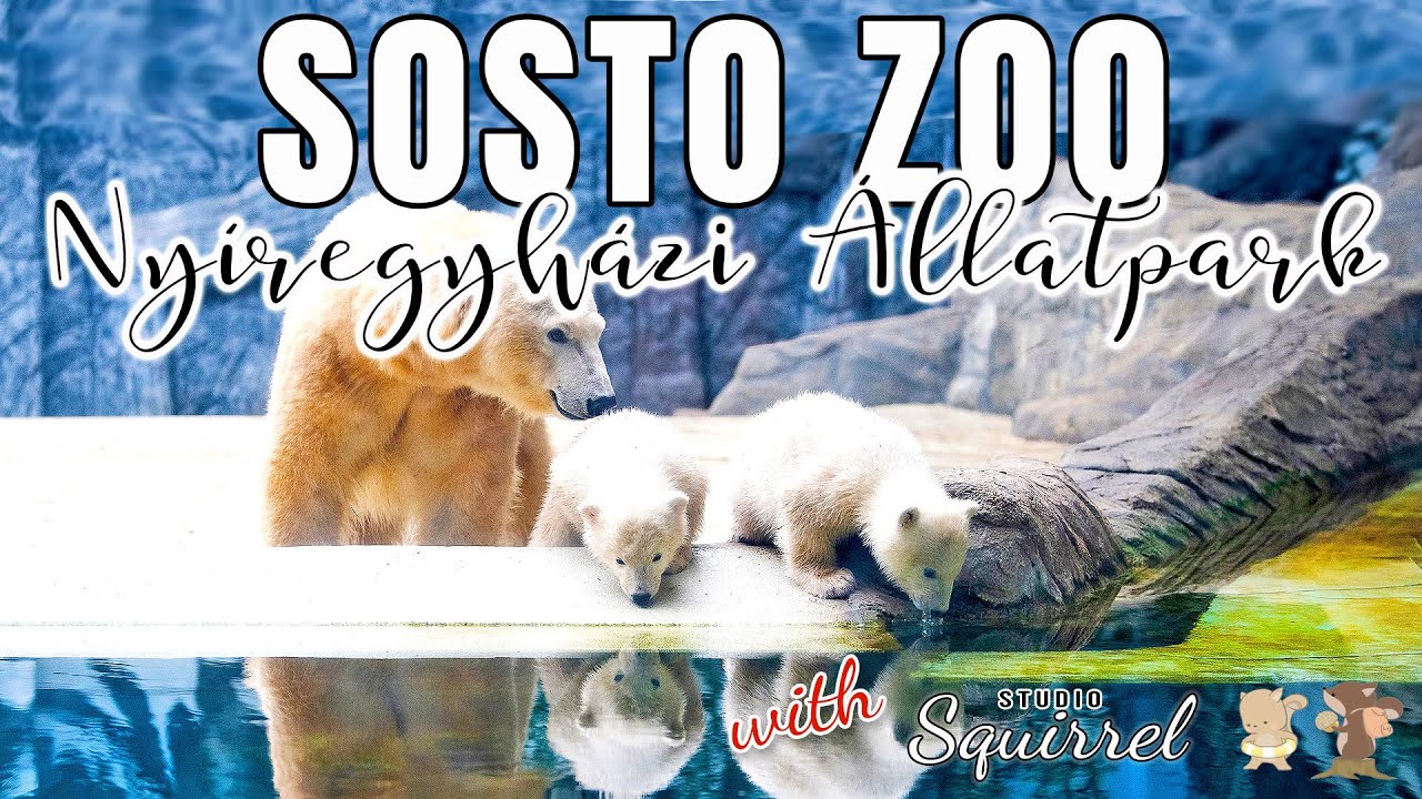 Sosto Zoo - Nyíregyházi Állatkert, Hungary, 2025