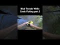 Catching Bass In A Tiny Creek part 5 #short #shorts #creek #fishing #bassfishing #smallcreek