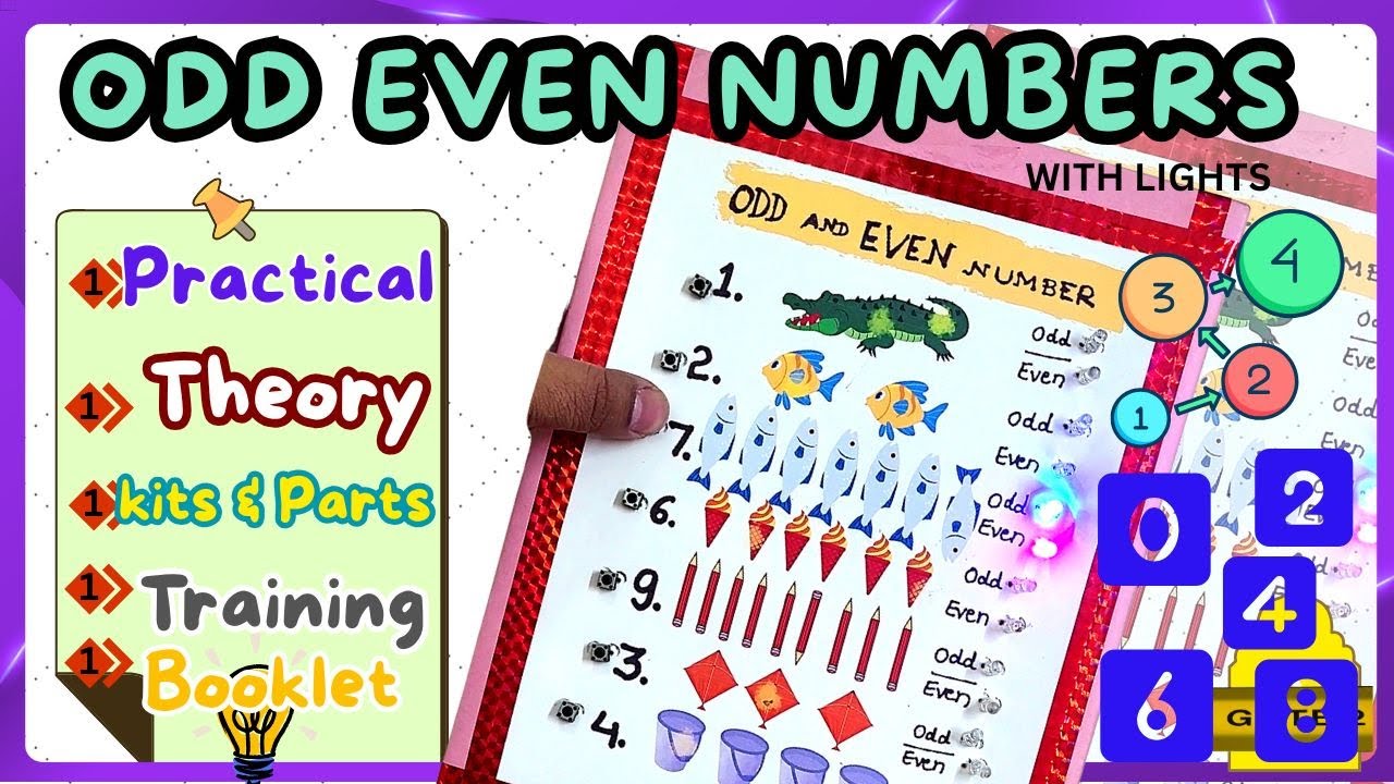 Odd and Even Numbers Made Easy | Maths Patterns Explained in Model | Ontex Electronics Projects