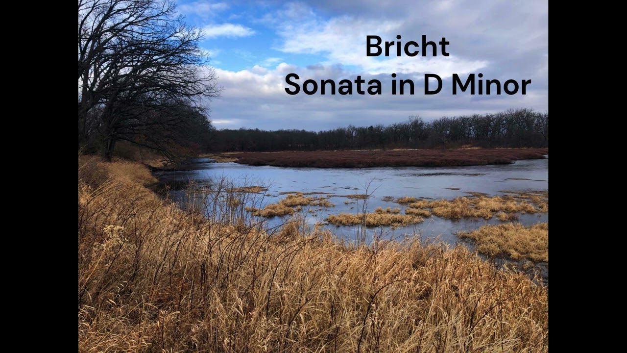 Walter Bricht: Piano Sonata in D Minor, Opus 16
