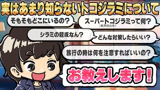 トコジラミ対策はここが大事】旅行やお出かけでも役立つ！トコジラミの