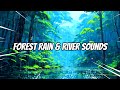 Forest Rain &amp; River Sounds – Relaxing Bossa Jazz for Deep Sleep