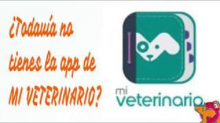 Descargar la App de Mi veterinario screenshot 2