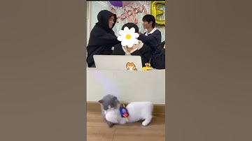 TEMPEST ( nhà có em út thích chọc mấy anh)#tpst #tempest #템페스트 #taerae #hyuk