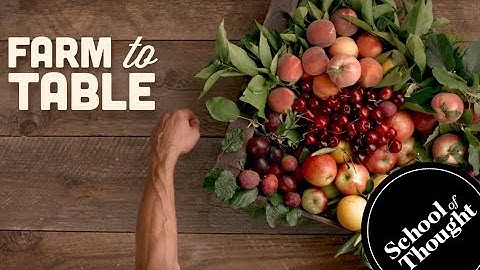 Real Foodies Compost (SFE)