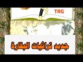تراثيات البقارة لعبة الكاتم قناة ترجم