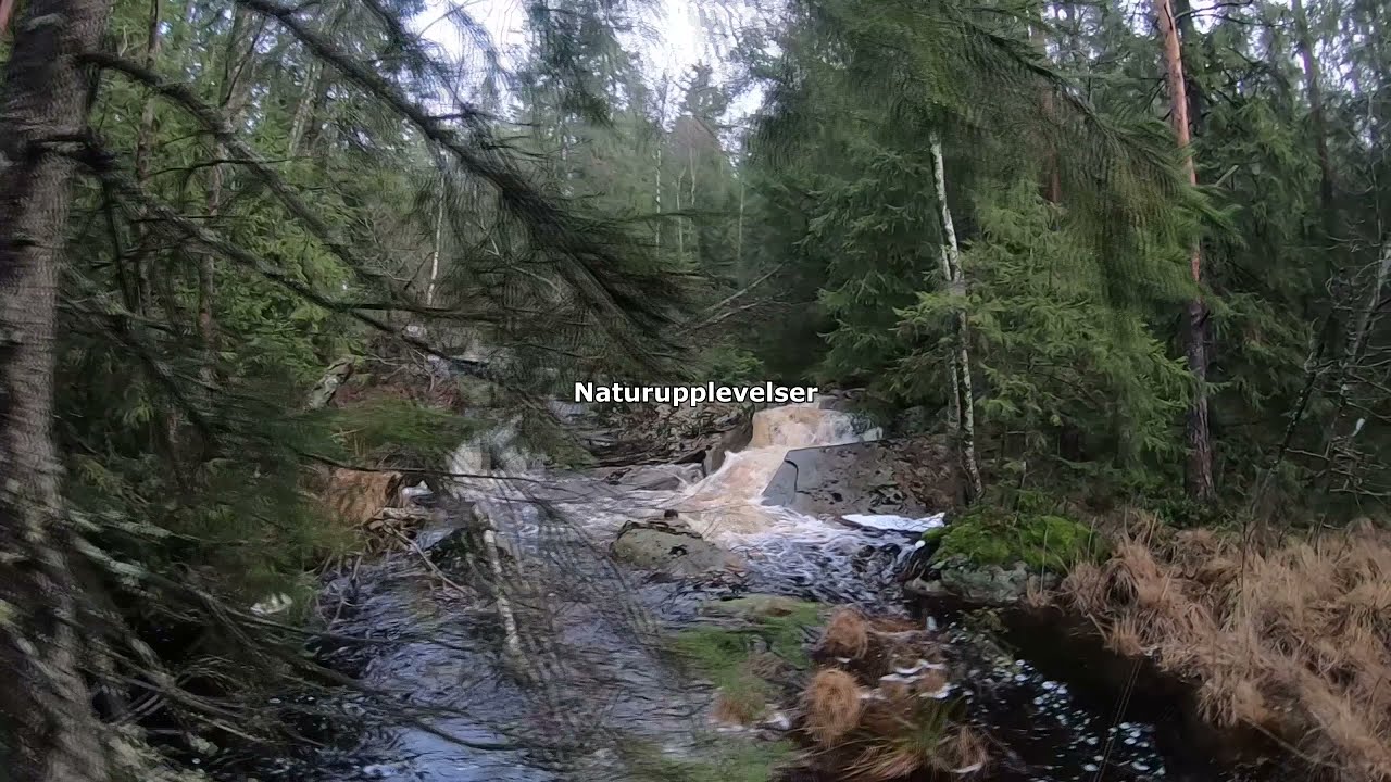 Trailrunning Sweden Göteborg-Härryda 2022